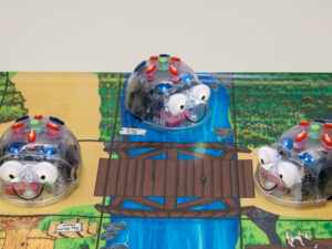 6. Projektausstattung